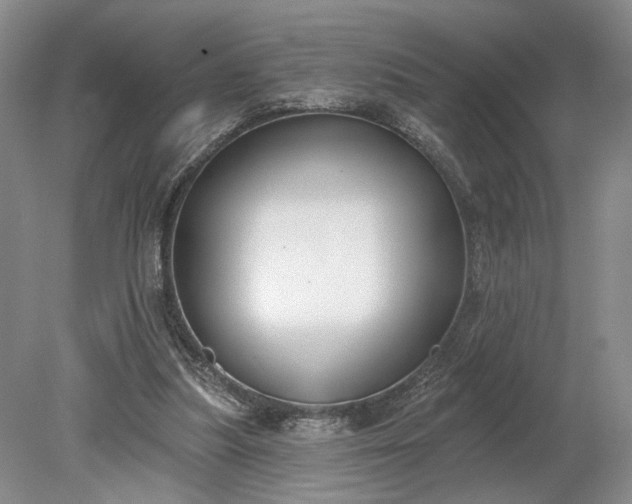 X0000079290251200612011731