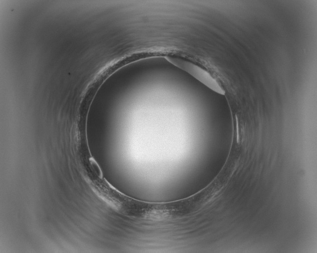 X0000079290252200612011731