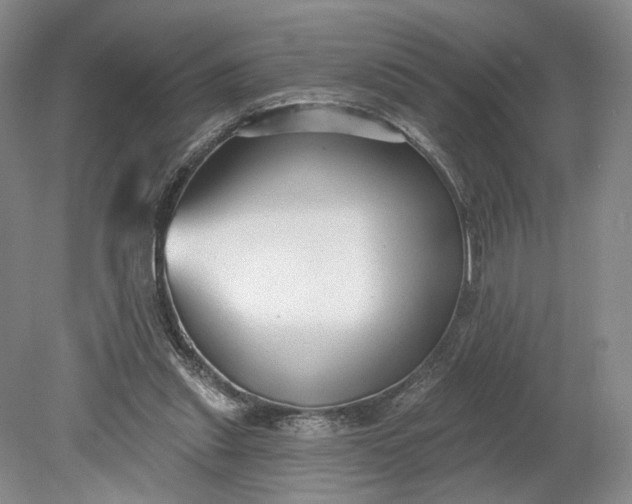 X0000079290253200612011731