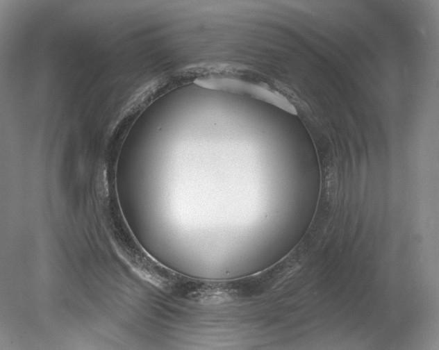 X0000079290254200612011731