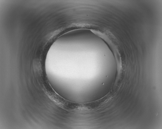 X0000079290256200612011731