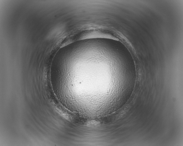 X0000079290257200612011731
