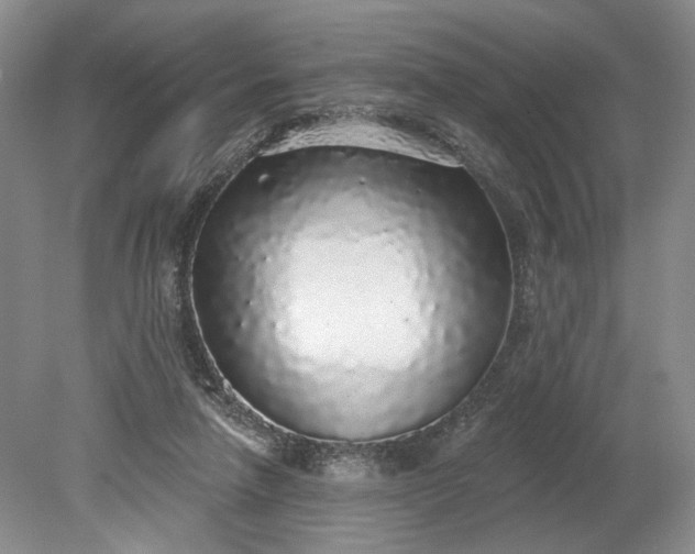 X0000079290258200612011731