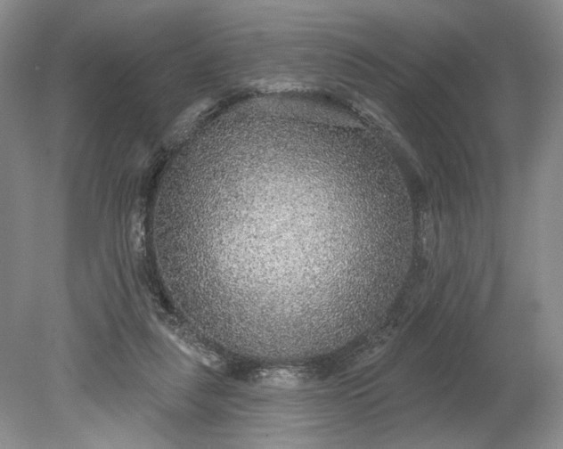 X0000079290259200612011731