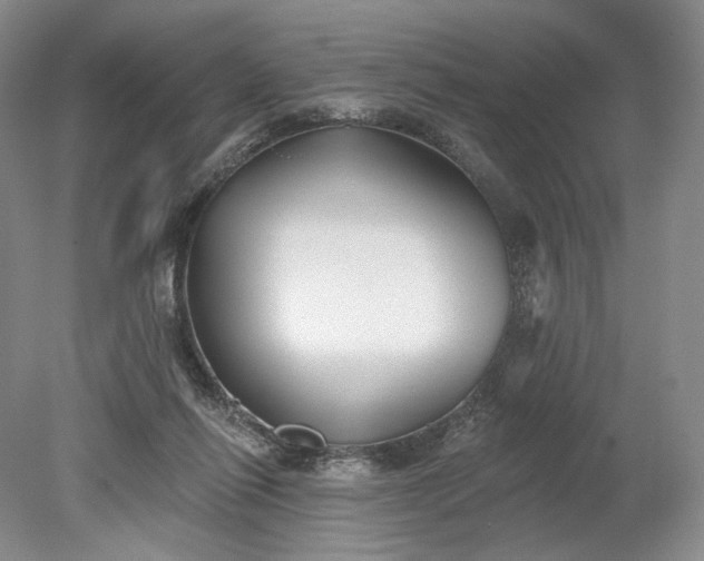 X0000079290262200612011731