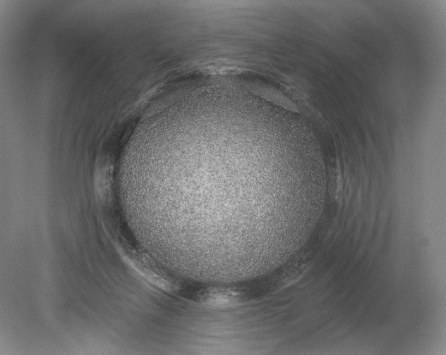 X0000079290263200612011731