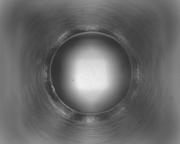 X0000079290264200612011731