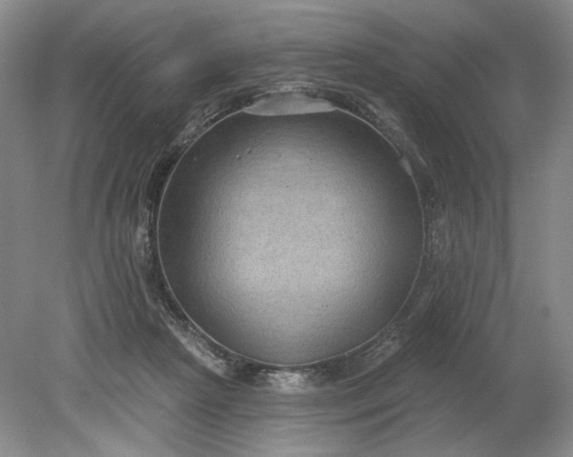 X0000079290265200612011731