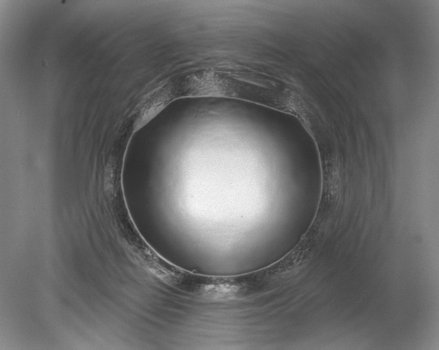 X0000079290266200612011731