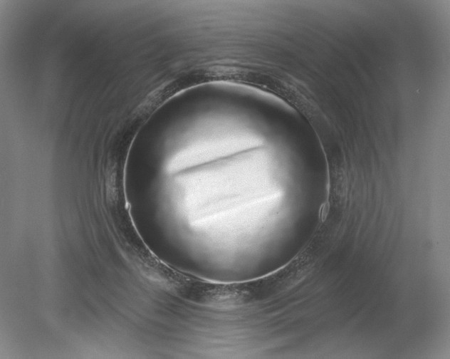 X0000079290267200612011731