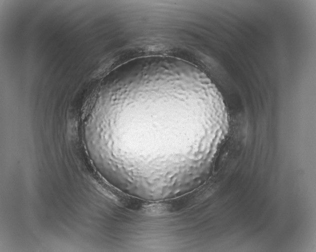X0000079290269200612011731