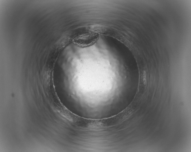 X0000079290271200612011732