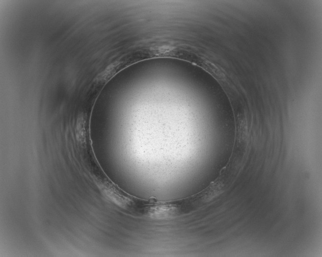 X0000079290274200612011732