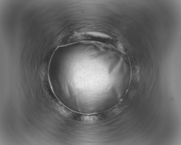 X0000079290277200612011732