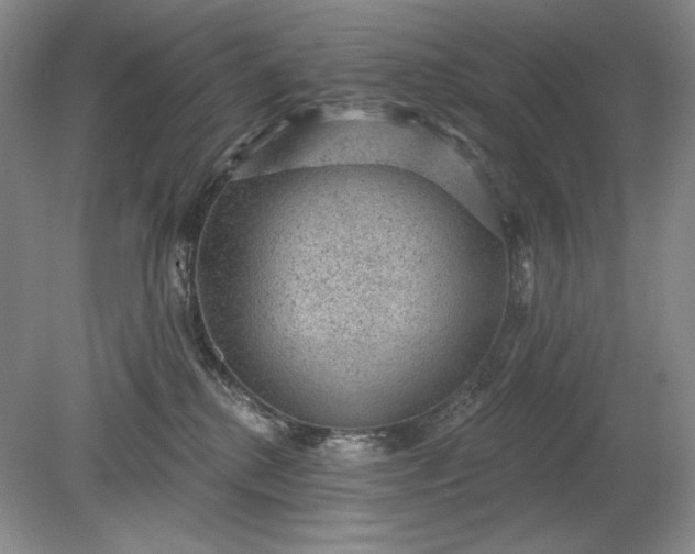 X0000079290280200612011732