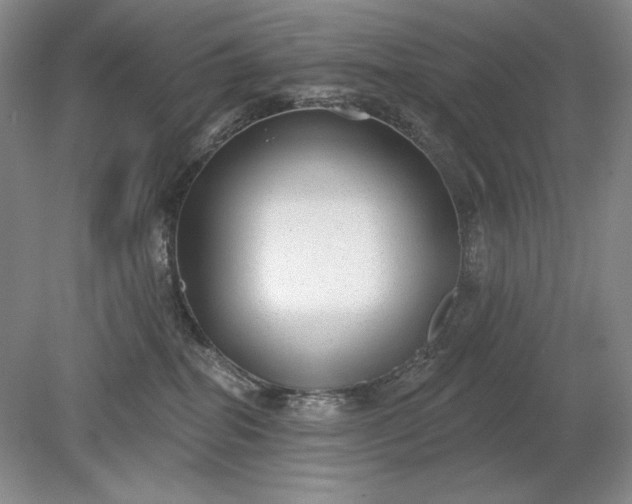 X0000079290282200612011732