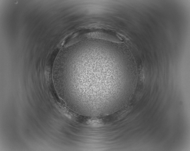 X0000079290283200612011732
