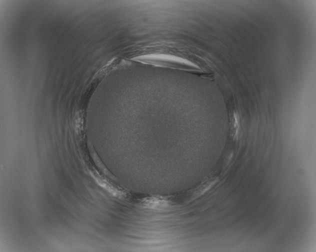 X0000079290284200612011732