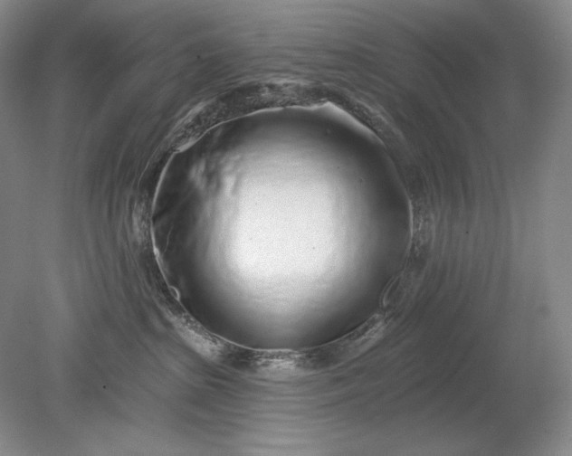 X0000079290285200612011732