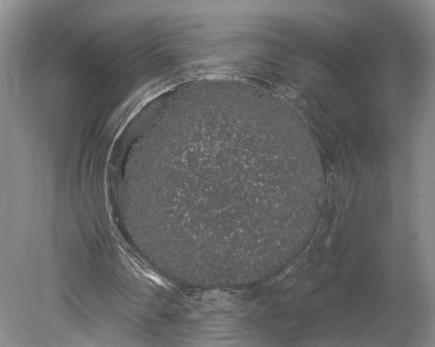 X0000079290290200612011731