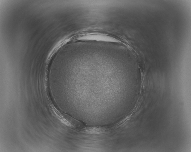 X0000079290293200612011731