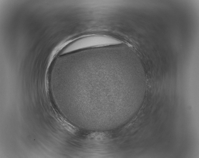 X0000079290294200612011731
