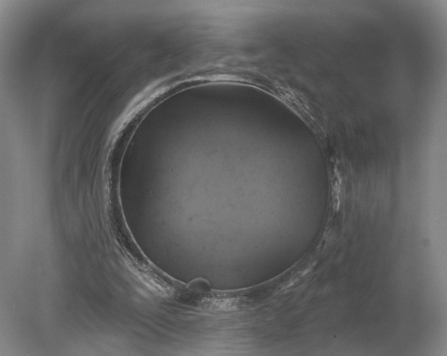 X0000079290295200612011731
