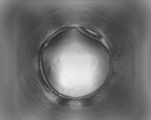 X0000079290299200612011731