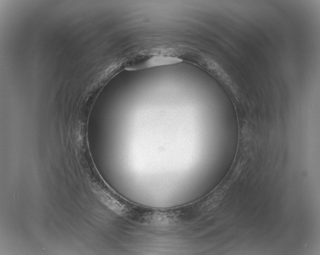 X0000079290305200612011731