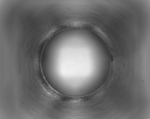 X0000079290306200612011731