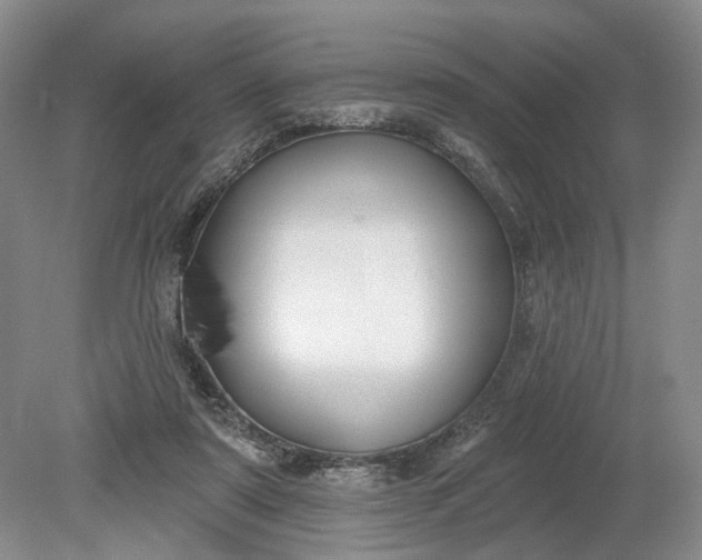 X0000079290307200612011731