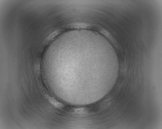 X0000079290309200612011731