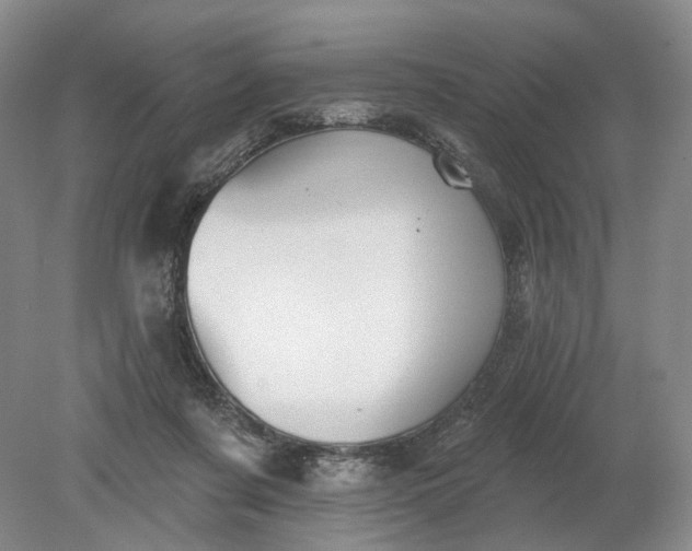 X0000079290311200612011731