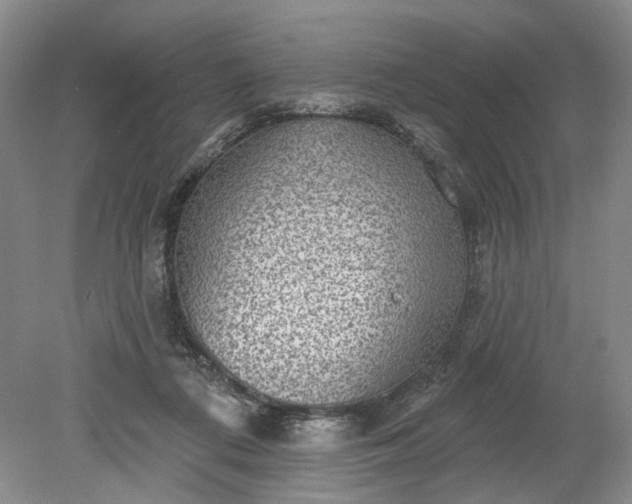 X0000079290312200612011731