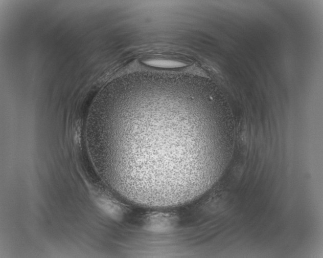 X0000079290315200612011731