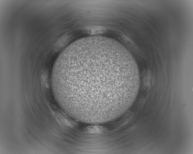 X0000079290316200612011731