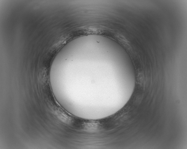 X0000079290318200612011731