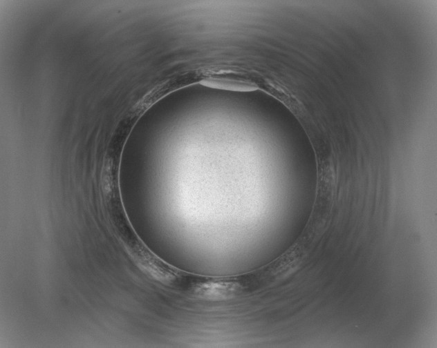 X0000079290323200612011730