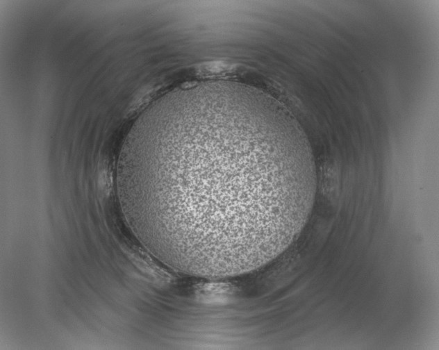 X0000079290324200612011730