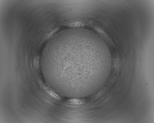 X0000079290326200612011730