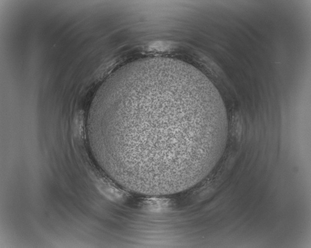 X0000079290328200612011730