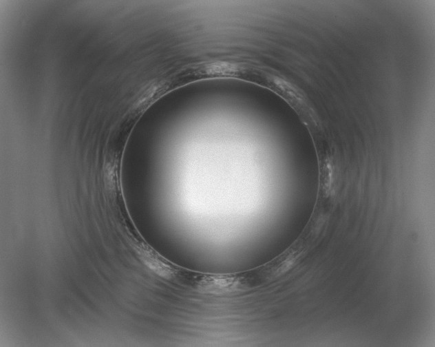 X0000079290329200612011730