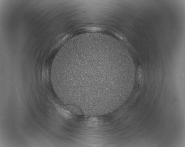 X0000079290330200612011730