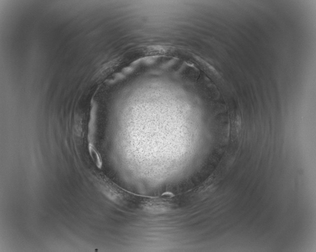 X0000079290331200612011730