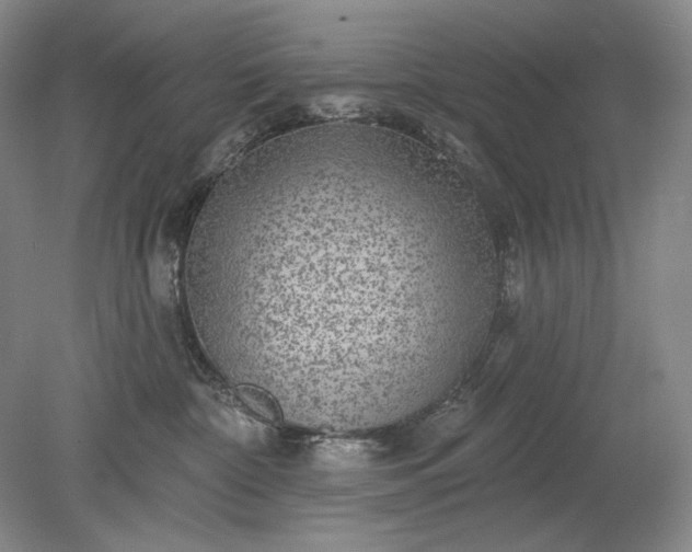 X0000079290332200612011730