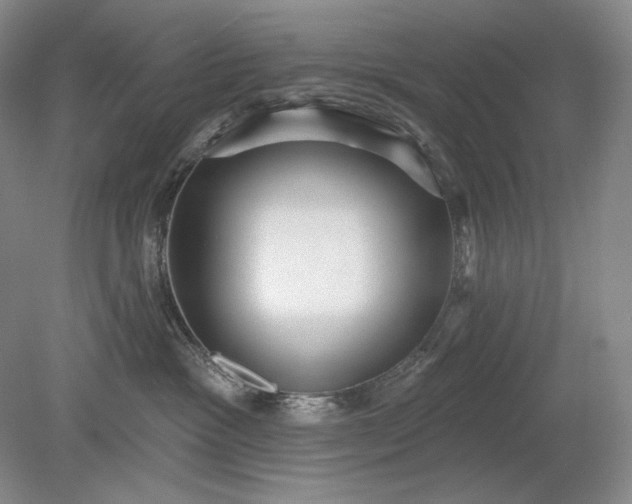 X0000079290333200612011730
