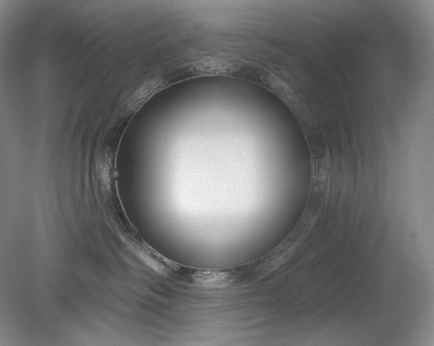 X0000079290334200612011730