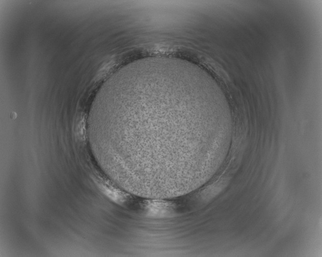 X0000079290336200612011730