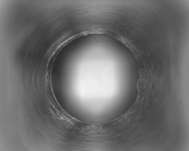 X0000079290338200612011729