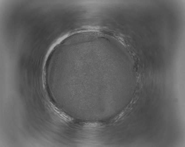 X0000079290342200612011730